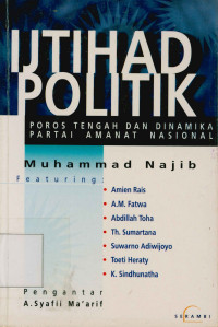 Image of Ijtihad politik : Poros tengah dan dinamika partai amanat nasional